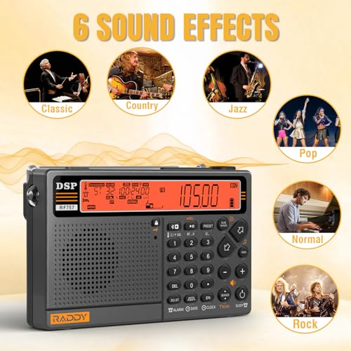 Radio portátil Raddy RF757 con control APP y batería recargable miniatura 5