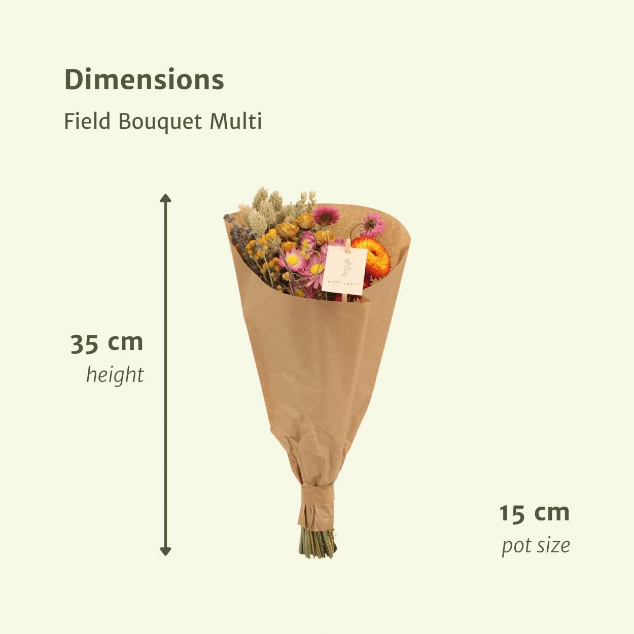 Trockenblumenstrauß mit Naturblumen, Bunt, Deko Innen, 12er Set, 35cm