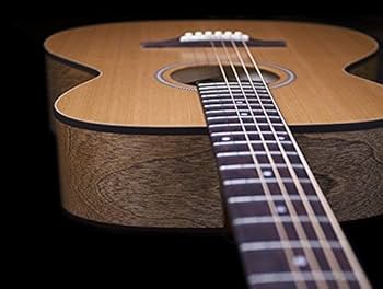 Amazon | 【国内正規品】 Seagull シーガル / アコースティック ギター