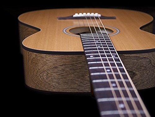 Amazon | 【国内正規品】 Seagull シーガル / アコースティック ギター