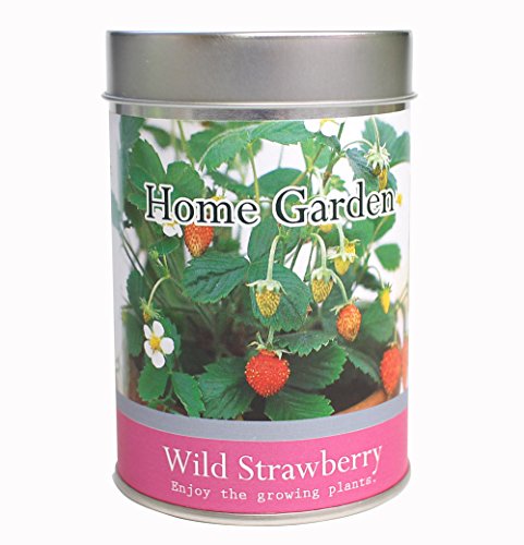 ナガクラ ホームガーデンS ワイルドストロベリー