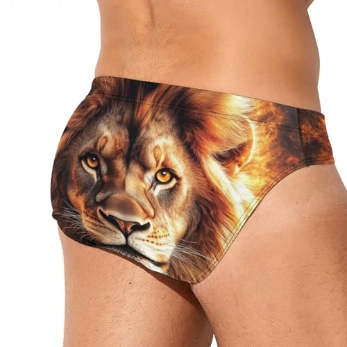 Rasta and Lion Burning Flame Mens Swim Briefs Sexy Bikini Swimwear Bathing Suits Trunks3