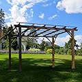 12' x 10' Outdoor Pergola, Wood Grape Gazebo for Climbing Plant Support, Garden, Patio, Backyard, Deck, Brown