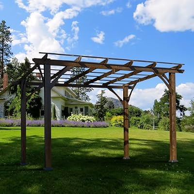 12' x 10' Outdoor Pergola, Wood Grape Gazebo for Climbing Plant Support, Garden, Patio, Backyard, Deck, Brown