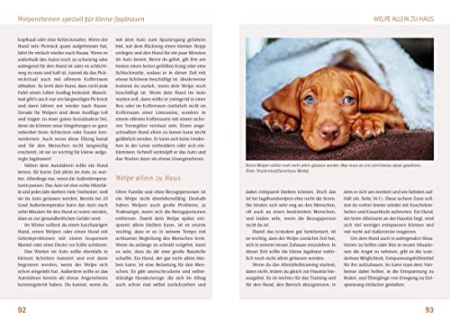 Wilde Welpen & kleine Jagdnasen: Jagdhundwelpen in Familienhand