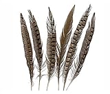 10 unidades. STG 10 Unidades de Plumas de faisán de 30 cm de Largo, Plumas para decoración de Mesa de Boda, faisán, Pluma, Fiesta, Colgador, Pascua, Manualidades, Plumas Decorativas