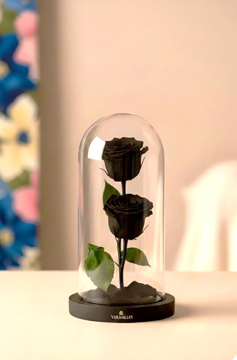Versailles Eternal Double Black Rose in Medium Glass Dome | Preserved Real Roses on Individual Stems with Fallen Petals | Eternal Rose | Real Flowers | Luxury Home Decor | Gift for Women-image-30