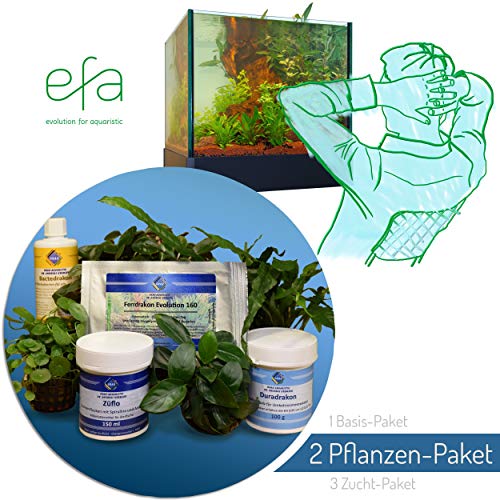 EFA Pacchetto aquarien.Com  Il Mio Acquario Facile e Senza esperimenti.