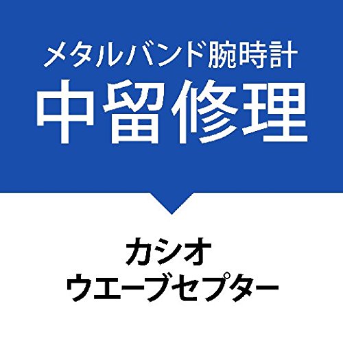 iNXvjCT[rXrvmJVI EG[uZv^[nCASIO weve ceptor