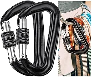 ALPINISTA Carabiner Clip Heavy Duty, Climbing Carabiner 12 KN, Small Keyring Locking Carabiner, Mini Aluminum Carabiner Cilps, 2 Pack