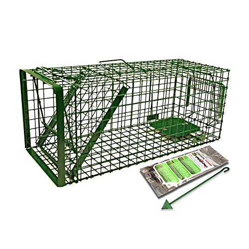 Holtaz Fallen Hardy Grün 80x34x34 cm 1 Tür Marderfalle Katzenfalle Fuchsfalle Biberfalle Tierfalle Kastenfalle Drahtfalle Waschbärfalle Mit Extra Köder