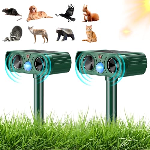 y2025NŐVQ܁zL悯 g L悯 ˂悯 Qbފ gQb쏜 IUUHOK ފ 悯 L悯 ŋ \[[[dҋ@ 10mm͈ x񉹃Xs[J[ L   ΍ vOC^CvƕǊ|^Cv2̗pr 