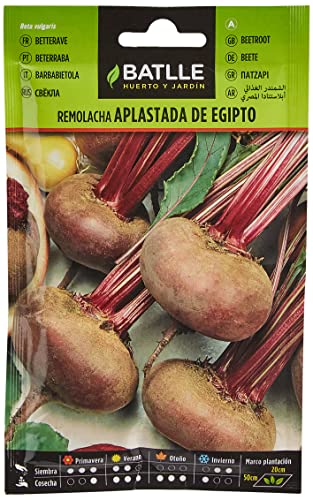 Semillas Batlle Remolacha mesa Aplastada Egipto