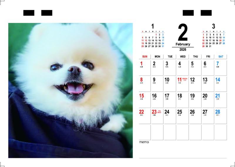 Amazon | 【予約販売】 ポメラニアンのマヨちゃんねる 犬 2026年 卓上