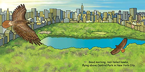 Good Night Central Park