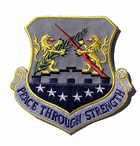 Squadron Nostalgia LLC Peace Through Strength 100th Bombardment Wing Patch – Plastic Backing