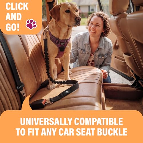 Image of Active Pets Dog Seatbelt, Adjustable Safety Dog Seat Car Harness, Dog Seat Belt for Pets - Durable Dog Seatbelts for Cars - Dog Car Seat Belt for Dogs, Dog seat Belts for Large Dogs, Medium, & Small