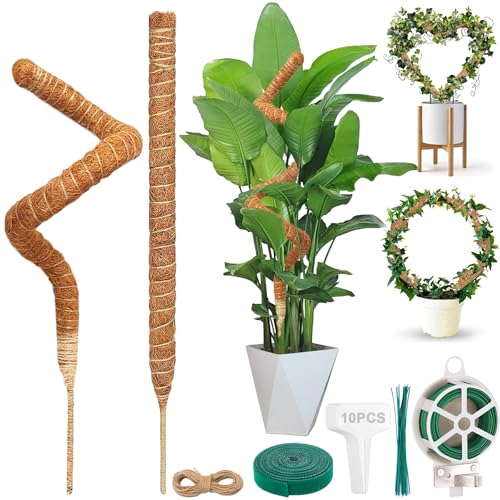 YeahBoom 2 Stück Moosstab für Monstera,80cm Monstera Rankhilfe,Rankhilfe für Kletterpflanzen,Kokosfaser Rankhilfe mit Zubehör,Pflanzenstütze für Kletterpflanzen im Innenbereich,Rankhilfe Monstera