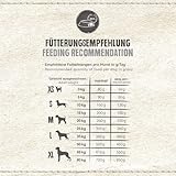 Belcando Senior Sensitive Hundefutter | Trockenfutter für ältere & empfindliche Hunde | Alleinfuttermittel für ältere Hunde Aller Rassen (1 kg neu)