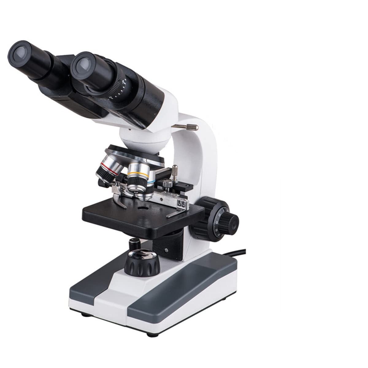 Kit di Accessori per Microscopio Microscopio Biologico Binoculare LED 640X Adatto per Vetrini per Microscopio Didattico per Studenti