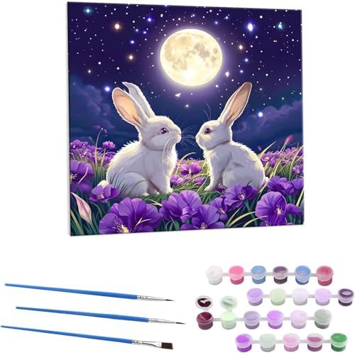 ̂ G Paint by Numbers hG Lbg l ʂ肦 lphGLoXNtg  LoXA[g uVƃANG̋, ItBX CeA rO, ւ̃Mtg 60x60cm (t