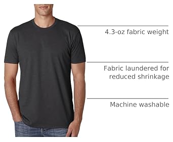 Next Level Apparel Mens N6210