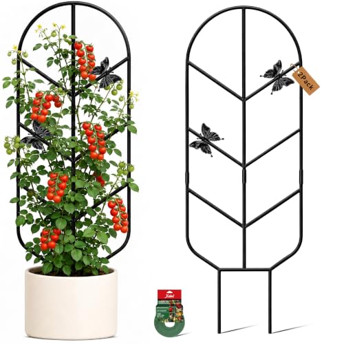 Image of Plant Trellis for Potted Plants, Trellis for Climbing Plants