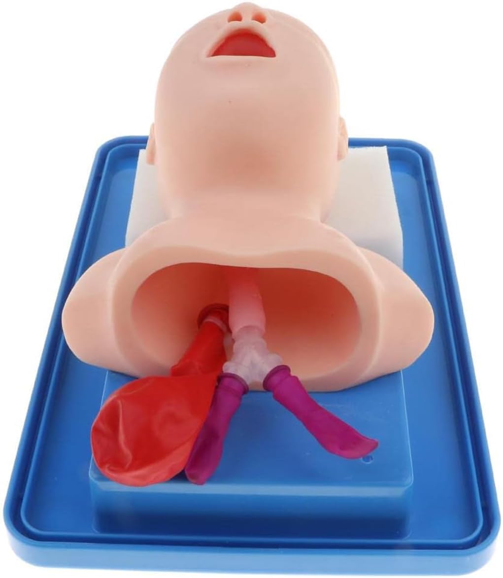 Modello di Formazione per L'intubazione Tracheale Bucconasale Neonatale Anatomica Manichini per Intubazione Manichino Pediatrica Infantile Simulatore Intubazione delle Vie Aeree Infantili