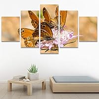 SIGNWIN 5 Panel Canvas Wall Art Modern Art Ants Butterfly Colorful Insects Minimalist Multicolor Photography for Home Decorations Ready to Hang - 60