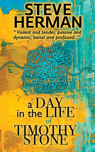 A Day in the Life of Timothy Stone (English Edition)