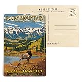 Rocky Mountain National Park, Colorado, Fall and Elk (4x6 Birch Wood Postcards, 2-Pack Stationary, Rustic Home Wall Decor)