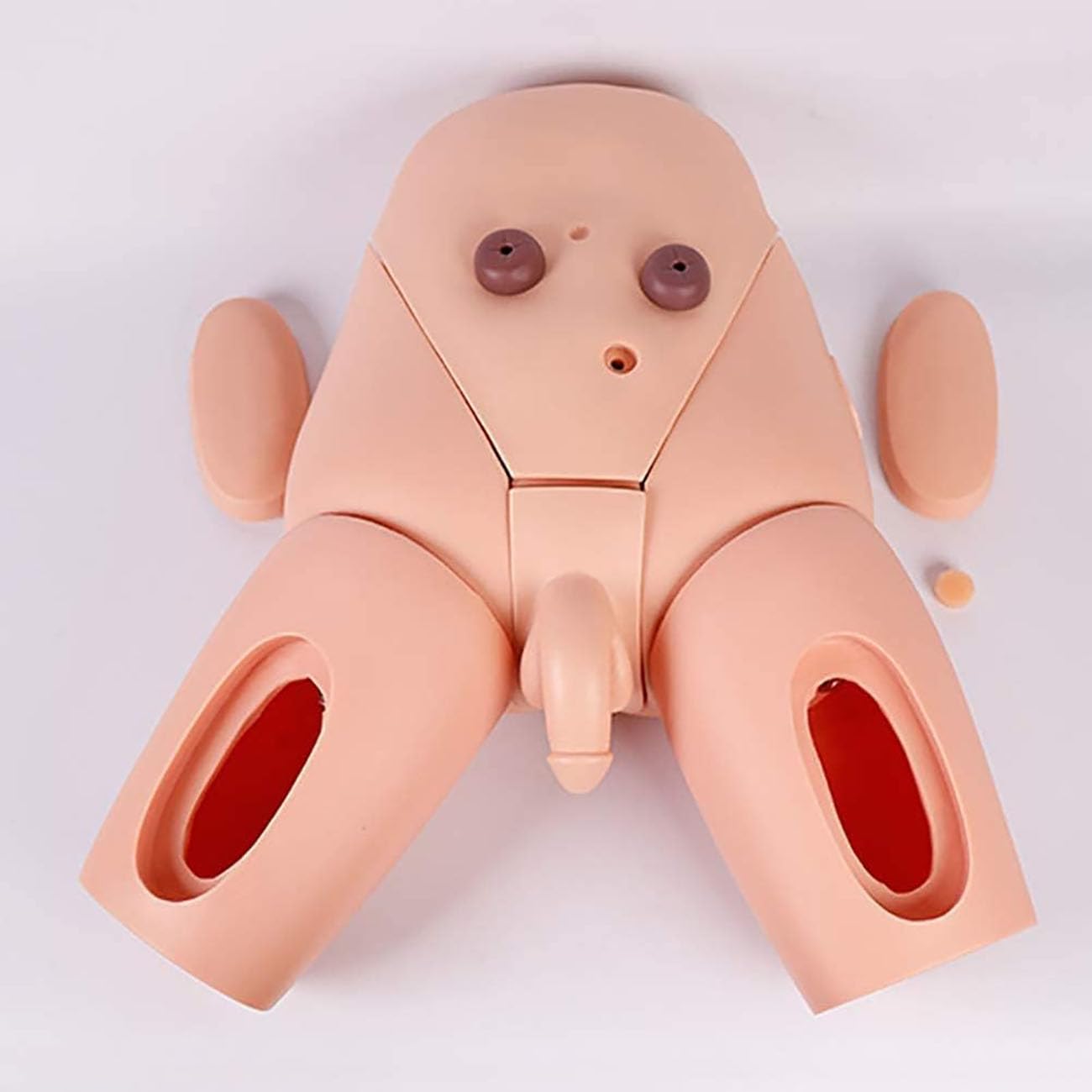 Modèle De Cathétérisme Interchangeable Homme-Femme, Moule pour l'enseignement du Cathétérisme, Formation Au Cathétérisme pour La Pratique Médicale