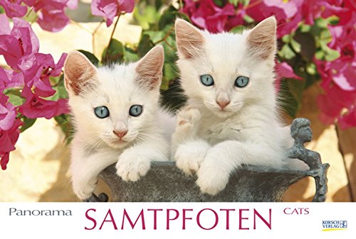 Samtpfoten 2016: PhotoArt Panorama Kalender Samtpfoten 2016: PhotoArt Panorama Kalender