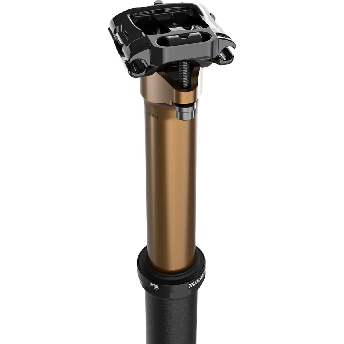 Amazon.com : Fox Transfer SL F-S SEATPOST 31.6 100mm Internal