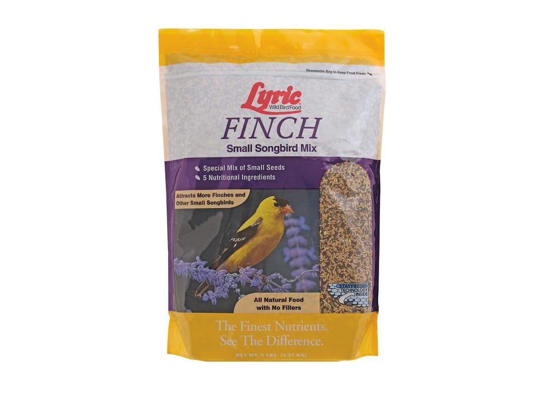 Lyric Finch - Juego de 5 Libras