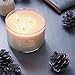 Soap & Paper Factory Roland Pine 18 oz Three-Wick Soy Candle