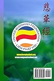 Zoom IMG-1 kinh bi hoa dai lien
