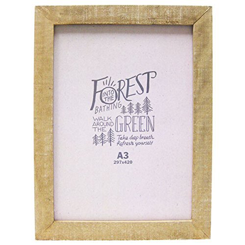 yJtHjA tHgt[ `3TCY/|X^[ t[/ʐ^āiKS/BEjzCݕCeA ؐ j ̓  AeB[N AJG AJG C