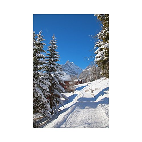 Stickers paysage La montagne sous la neige - L 100cm x H 150cm