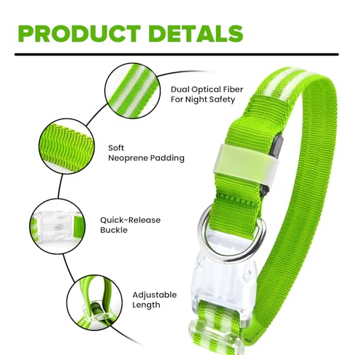 Feycig Leuchthalsband Hund USB Aufladbar - LED Hundehalsband Leuchtend Wasserdicht Leuchtendes Hunde Halsband Einstellbare für Kleine Mittlere Große Hunde, 3 Modi