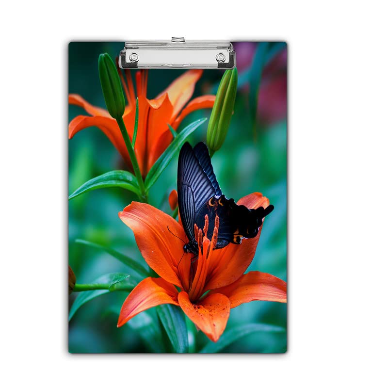 Image of Printed Wooden Exampad, Clipboard, Writing Pad for Boys, Girls, Kids School Students, Form Holder, Exam Board etc 23