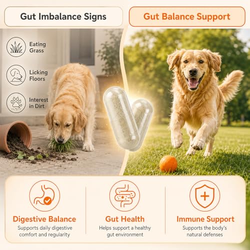 PUAINTA Probiotics for Dogs & Cats – 8-Strain Probiotic with Prebiotics for Digestive & Gut Health, Immune & Stool Support, Helps Dogs Eating Dirt, Grass & Non-Food Items (90 Count) — view 6