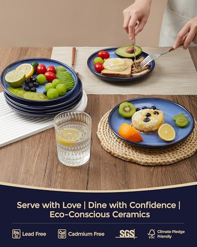 Image of Pokini Ceramic Dinner Plates Set of 6, 8inch Salad, Dessert Plates Dishes
