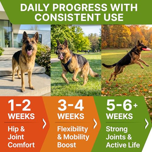 STRELLALAB Advanced Glucosamine for Senior Dogs, Chondroitin Joint Support - Image 4