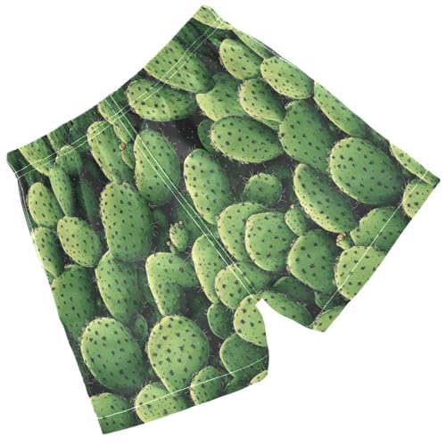 Pigsaly Boys Swim Trunks Cactus Succulents Mexican Plant Boys Board Shorts Swimsuit Swimwear Summer Bathing Suit 3T2