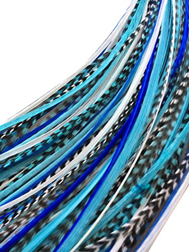 Feather Hair Extensions, 100% Real Rooster Feathers, Long Natural and Turquoise Blue Colors