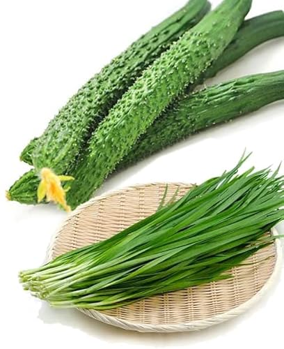 Bundle Vegetable Seeds: Chinse Cucumber Seeds + Chinese Garlic Chive Seeds
