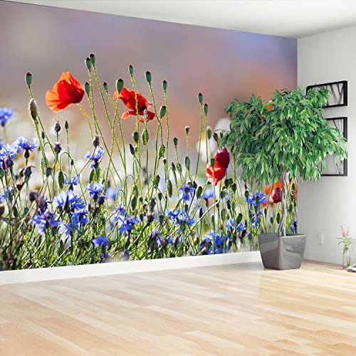 Papier peint rénovation murale rapide sans outils Maki et Cornflower