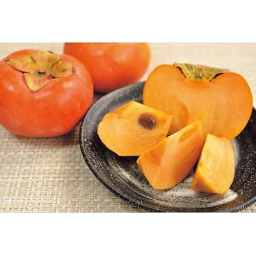 y2025 Εz xL`iWʁj (n̂)