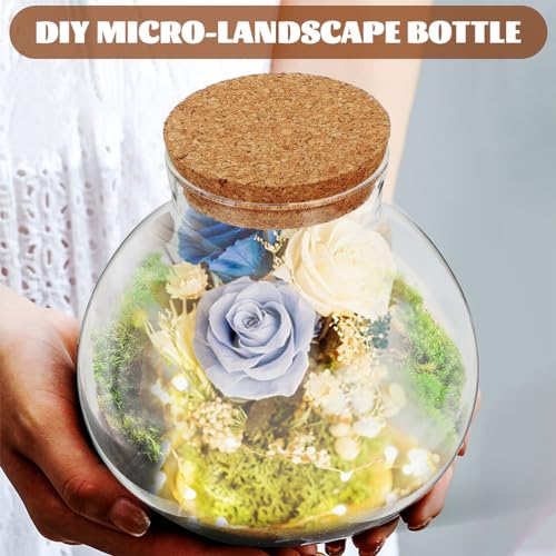 2Pcs Clear Decorative Bottle Sealed Glass Bottle with Cork Lid - Image 2